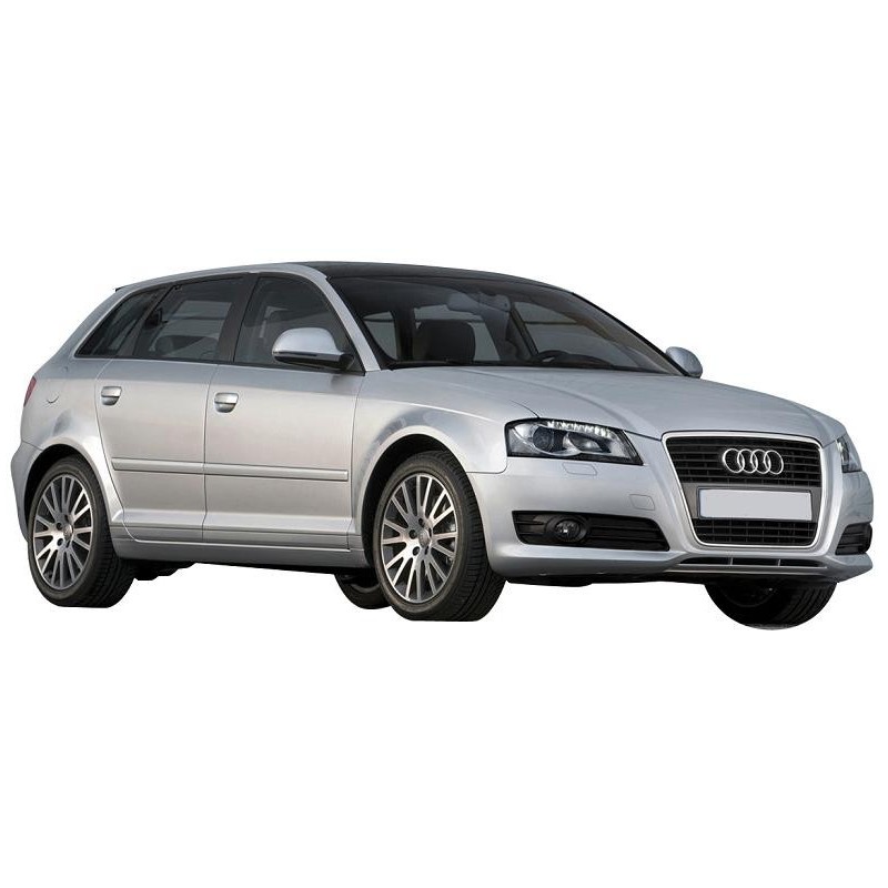 Vasche Baule Bagagliaio Auto su misura per AUDI A3 SPORTBACK dal 2003 al 2012 Vasche Baule Bagagliaio Auto su misura per AUDI A3 SPORTBACK dal 2003 al 2012 2