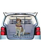 Separatori cane per auto