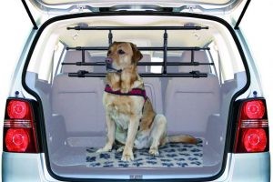 Separatori cane per auto